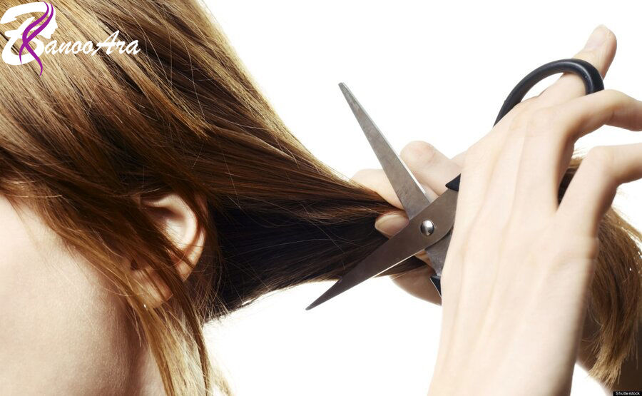 کوتاه کردن مو برای افزایش سلامت مو| سلامت مو